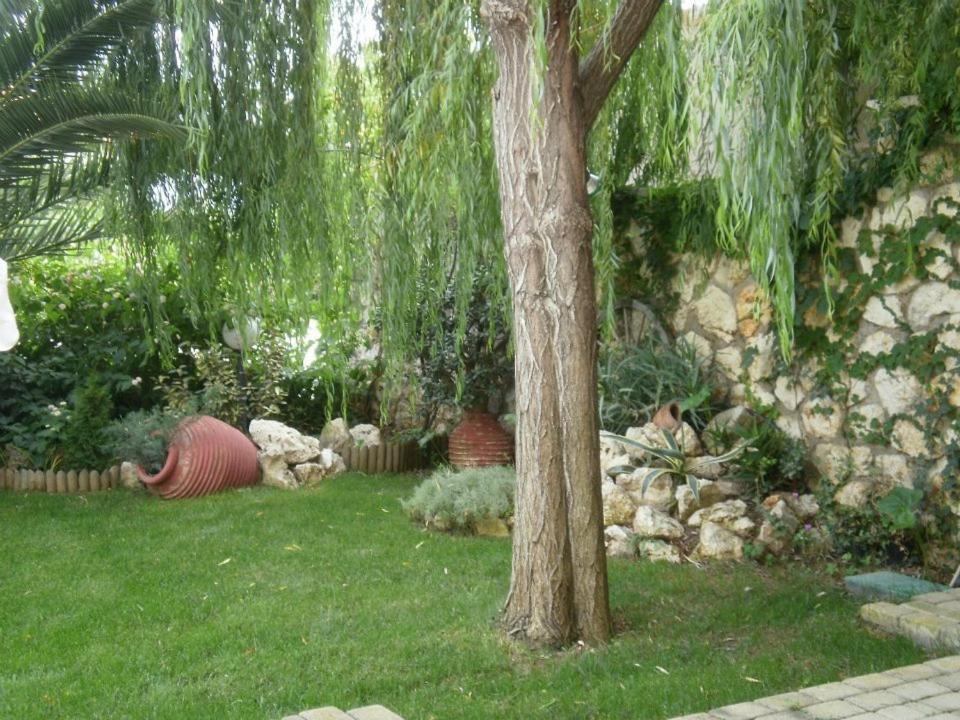 ניקיאנה Christianna Studios מראה חיצוני תמונה